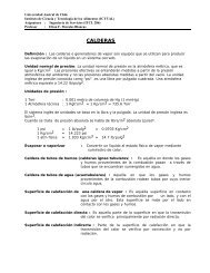 Calderas - Descripción.pdf - ICYTAL - UACh - Universidad Austral ...