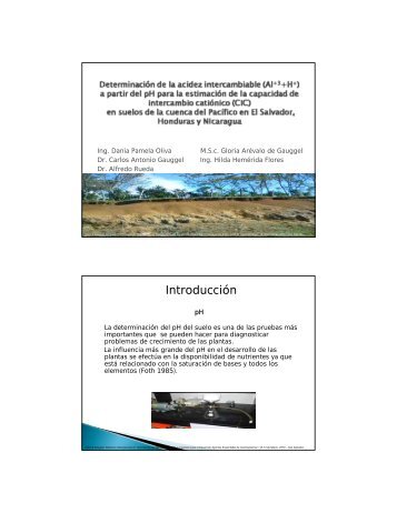 Presentation (pdf 597 kB) - The International Potash Institute
