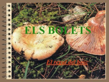 ELS BOLETS