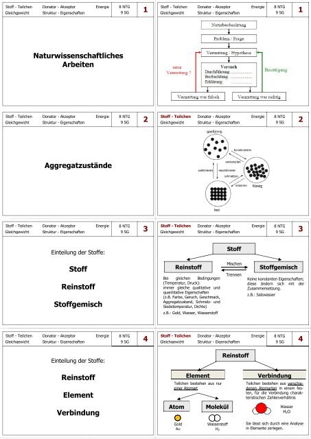 Grundwissen Chemie 8.-10. Klasse für NTG, SG und WSW.pdf
