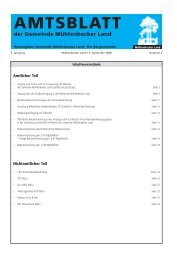 Amtlicher Teil Nichtamtlicher Teil - Gemeinde Mühlenbecker Land