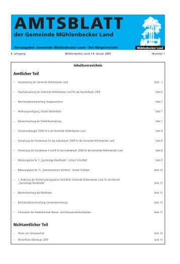 Amtlicher Teil Nichtamtlicher Teil - Gemeinde Mühlenbecker Land