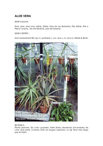 ALOE VERA - Productors de Plantes Aromàtiques i Medicinals