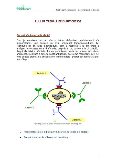 Full de treball dels anticossos