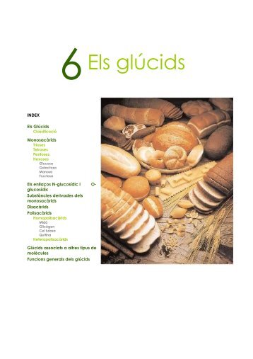 6Els glúcids - IES Ramon Llull