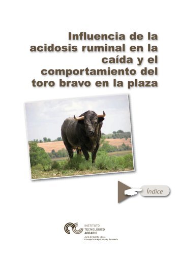 Descargar edición en PDF - ITACyL