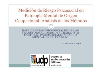 PEPET MEDICION RIESGO PSICOSOCIAL - Programa de Estudios ...