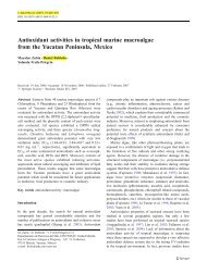 Antioxidant activities in tropical marine macroalgae - CINVESTAV ...