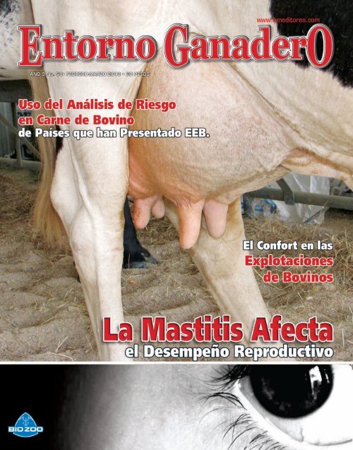 Bajar Revista - BM Editores