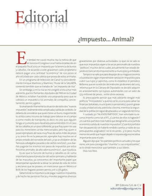 Bajar Revista - BM Editores