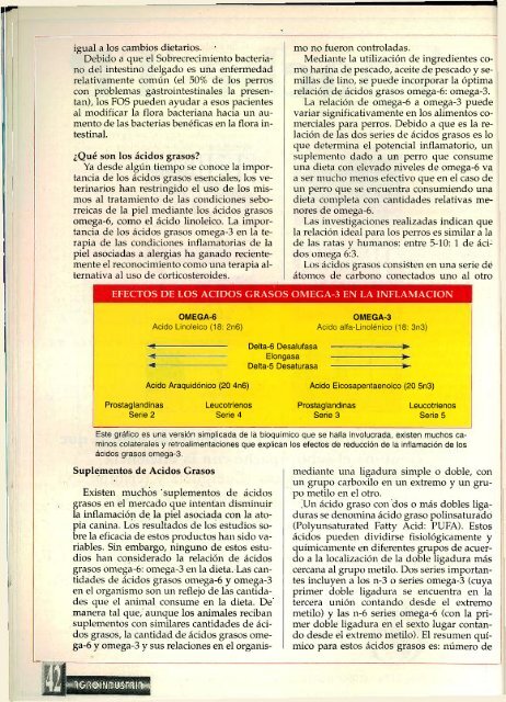 año14/ n°91 /diciembre1996 - caena.org.ar