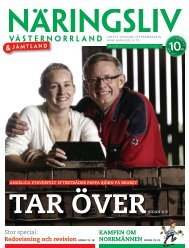 Stor special: Redovisning och revision Sidan 11 ... - NARINGSLIV.to