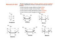 Monosacáridos - Reciben el nombre de triosas ... - IES Jovellanos