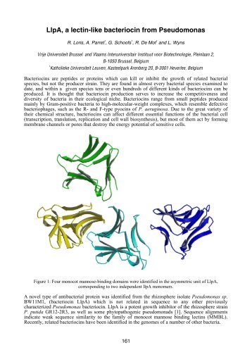 LlpA, a lectin-like bacteriocin from Pseudomonas - Desy