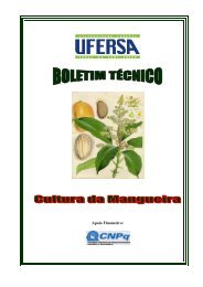 Boletim Técnico Cultura da Mangueira.pdf - Webnode