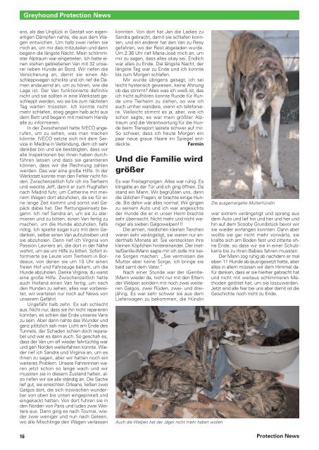 Protection News - Greyhound Protection International