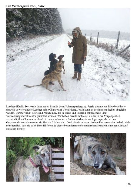 Greyhound Protection News - Winter 2012