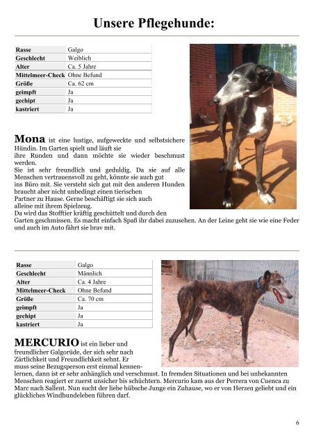 Greyhound Protection News - Winter 2012