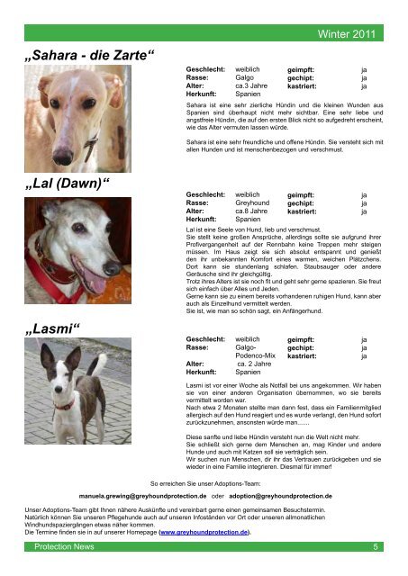 "Protection News" Winter 2011 - Greyhound Protection International