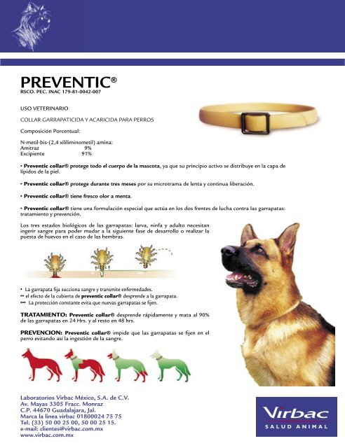 Infestación por garrapatas en el perro - LaboratorioUniversal.com