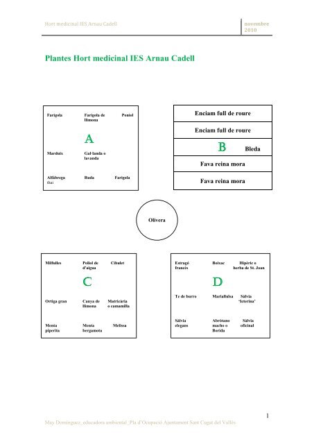 Plantes Hort medicinal IES Arnau Cadell