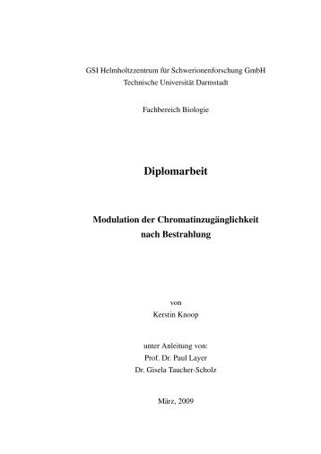 Diplomarbeit - GSI