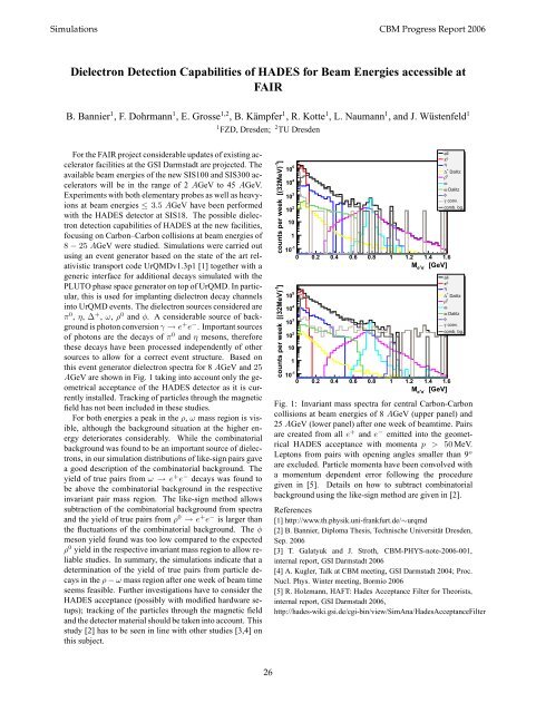 CBM Progress Report 2006 - GSI