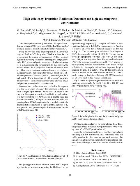 CBM Progress Report 2006 - GSI