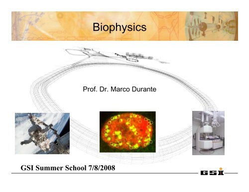 Biophysics - GSI