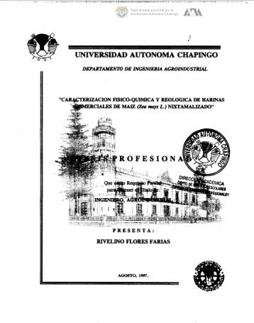 UNIVERSIDAD AUTONOMA CHAPINGO