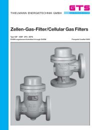 Zellen-Gas-Filter/Cellular Gas Filters - THIELMANN ...