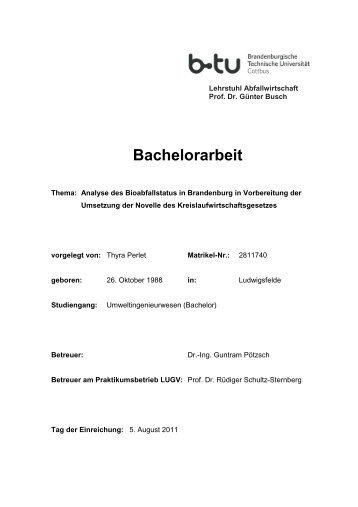 Bachelorarbeit herunterladen (PDF-Datei)