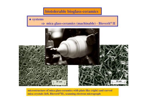 Bioceramics-Dr. Carls 2 - G.-Wiehebrink