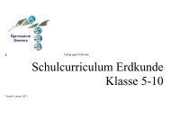 Schulcurriculum Erdkunde Klasse 5-10 - Gymnasium Damme