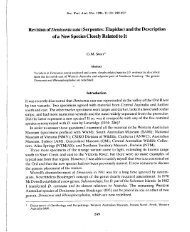Revision of Denisonia suta (Serpentes: Elapidae ... - Kingsnake.com