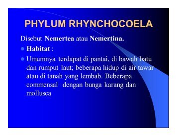 PHYLUM RHYNCHOCOELA