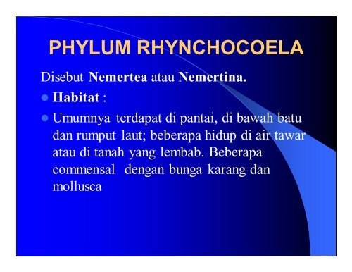 PHYLUM RHYNCHOCOELA