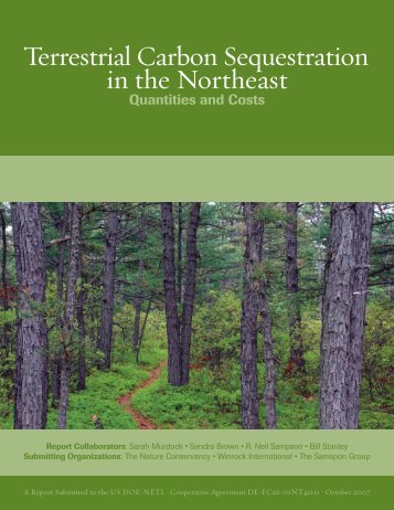 Terrestrial Carbon Sequestration in the Northeast: Quantities and