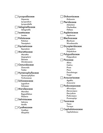 Lycopodiaceae Selaginellaceae Isoetaceae Psilotaceae ...