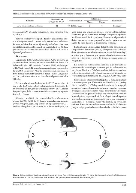 Registro de Xenopsylla cheopis como hospedero intermediario ...