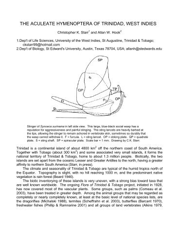 the aculeate hymenoptera of trinidad, west indies - The University of ...