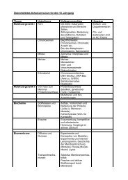 überarbeitetes Schulcurriculum für Jg. 10