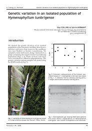 Genetic variation in an isolated population of Hymenophyllum ...