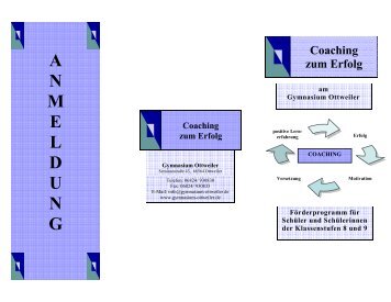 Anmeldeformular als PDF-Datei - GO Gymnasium Ottweiler