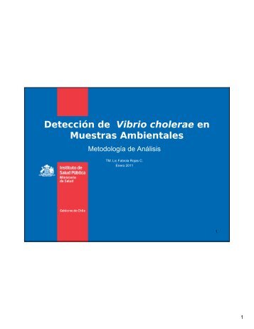 Revision de procedimitnos de deteccion de Vibrio cholerae