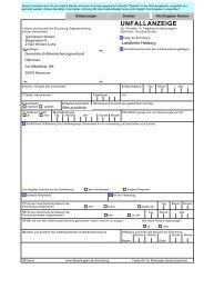 Unfallanzeige als Download - Gymnasium Winsen