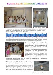 Bericht aus der Chemie-AG 2012-2013 - Gymnasium Winsen