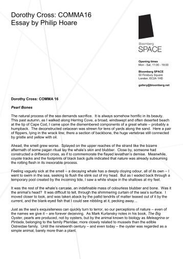 Dorothy Cross: COMMA16 Essay by Philip Hoare - Bloomberg Space