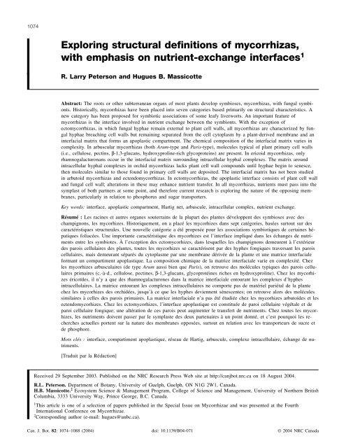 Exploring structural definitions of mycorrhizas, with emphasis on ...