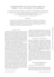 JMS 69/2 135-143 Allcock FINAL - Journal of Molluscan Studies